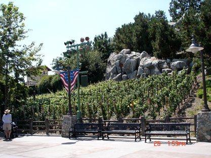 GoldenVineWinery