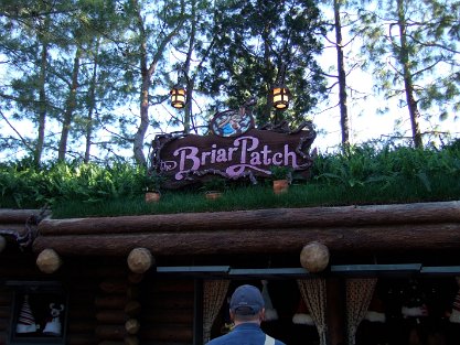 BriarPatch
