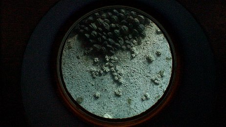 Photo by Allen Huffman of DisneyFans.com