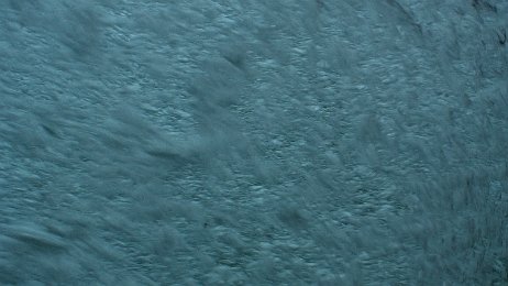 Photo by Allen Huffman of DisneyFans.com