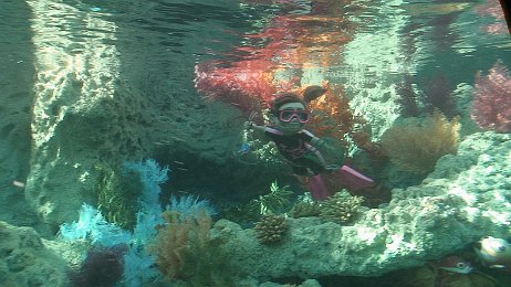 Photo by Allen Huffman of DisneyFans.com