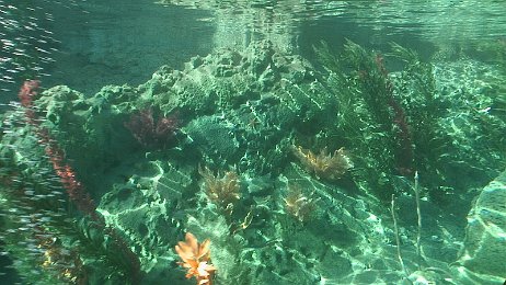 Photo by Allen Huffman of DisneyFans.com