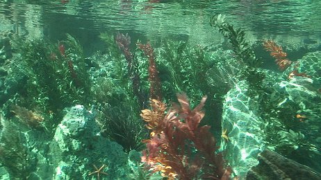 Photo by Allen Huffman of DisneyFans.com