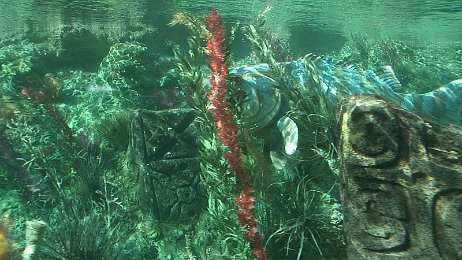 Photo by Allen Huffman of DisneyFans.com