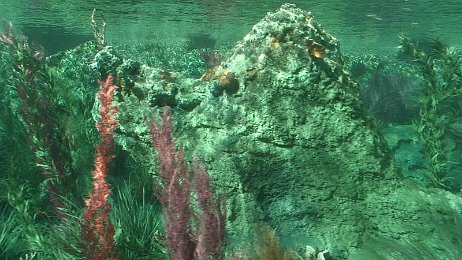 Photo by Allen Huffman of DisneyFans.com