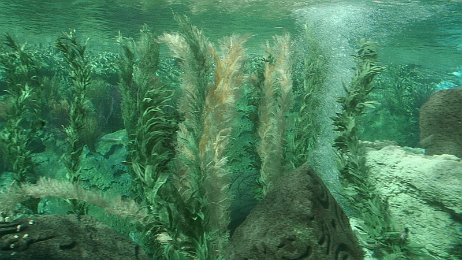 Photo by Allen Huffman of DisneyFans.com