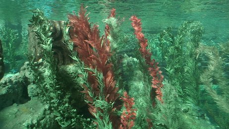 Photo by Allen Huffman of DisneyFans.com