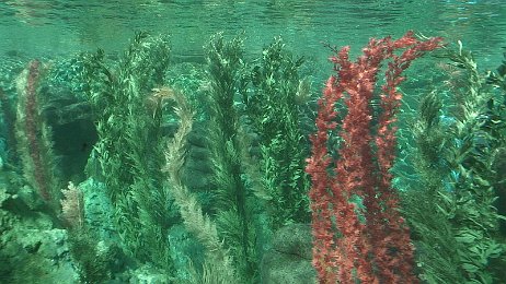 Photo by Allen Huffman of DisneyFans.com