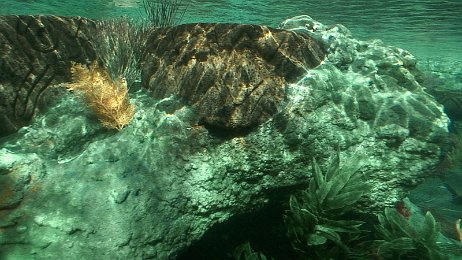 Photo by Allen Huffman of DisneyFans.com