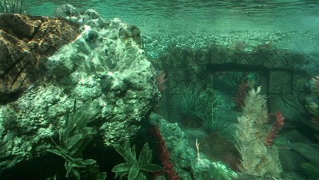 Photo by Allen Huffman of DisneyFans.com