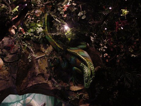 20010219_200623 null