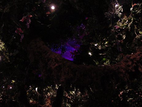 20010219_200630 null