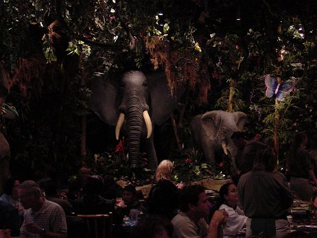 20010219_200657 null