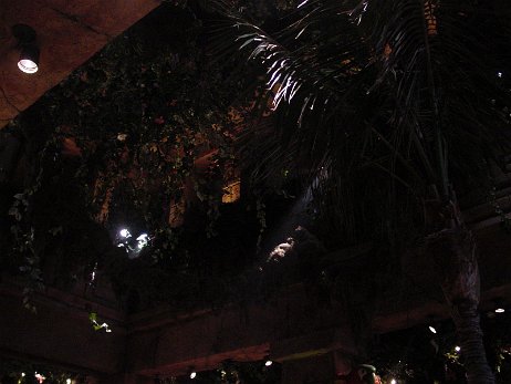 20010219_200705 null