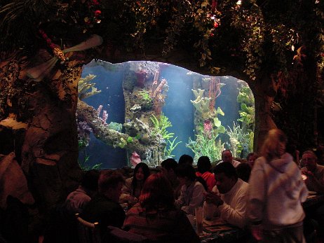 20010219_200719 null