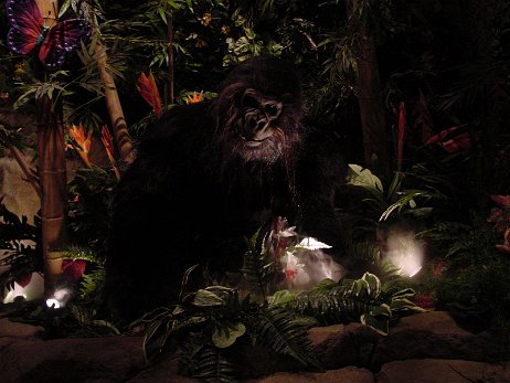 20010219_212752 null