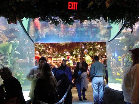 20010219_212848 null